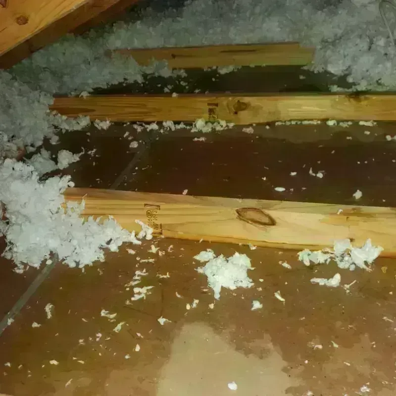 Attic Water Damage in Sidney, IL