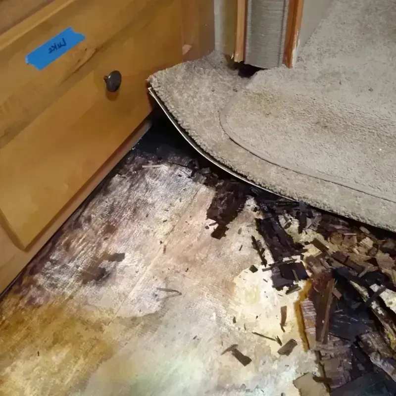 Wood Floor Water Damage in Sidney, IL